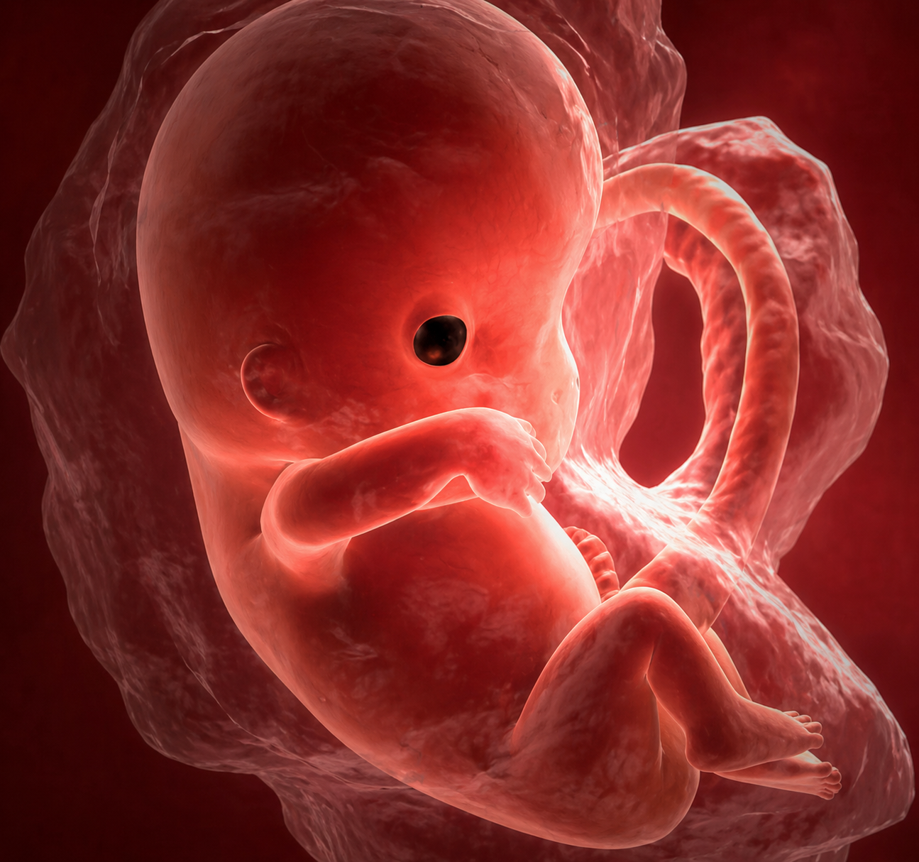 Fertility Treatment